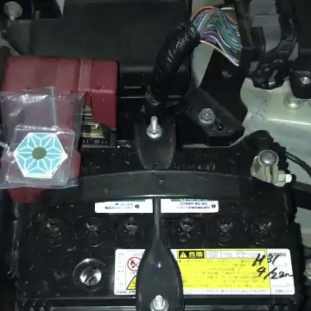 Ds元気 電子浄化器 電磁波の悪影響を解消 電子ストレス解消でスマホの電磁波対策や治療にも使え自然免疫もアップ 7日間お試しの完全返金保証 電磁波対策で快適な環境を