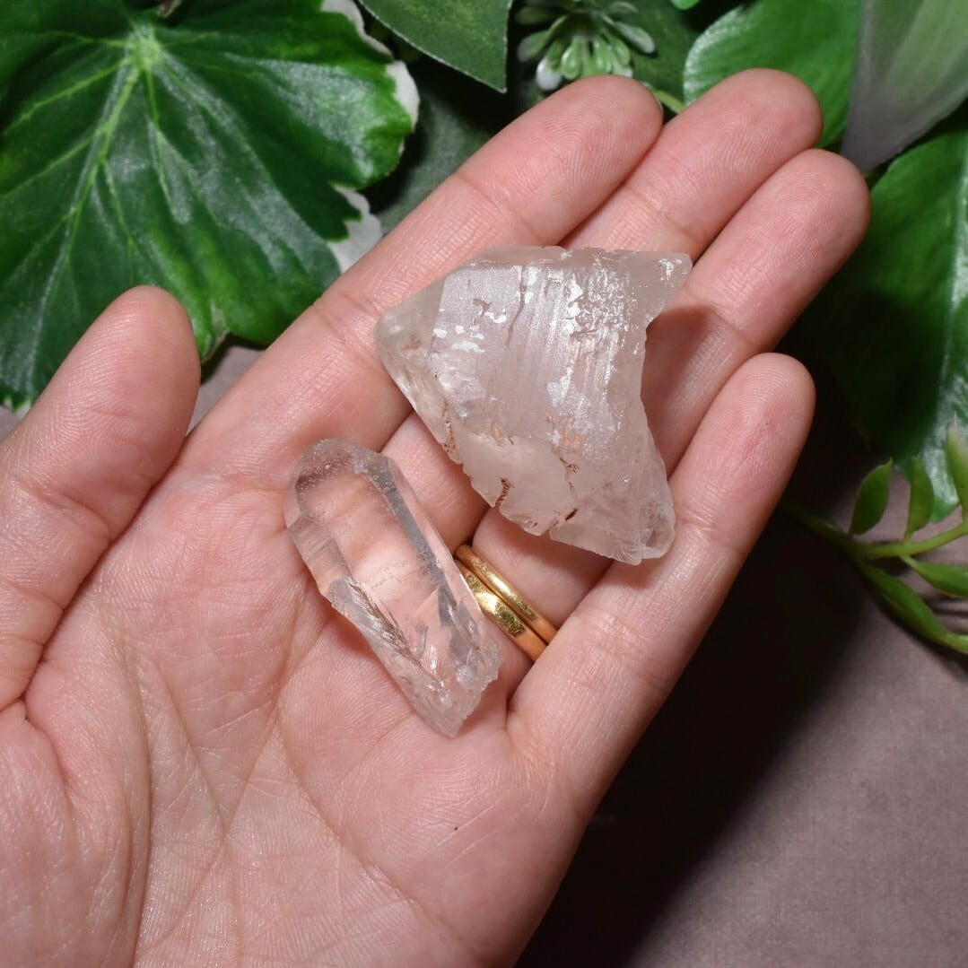 水晶 ポイント 2個セット インド・マニカラン産 HQG14 | EBIA Crystal