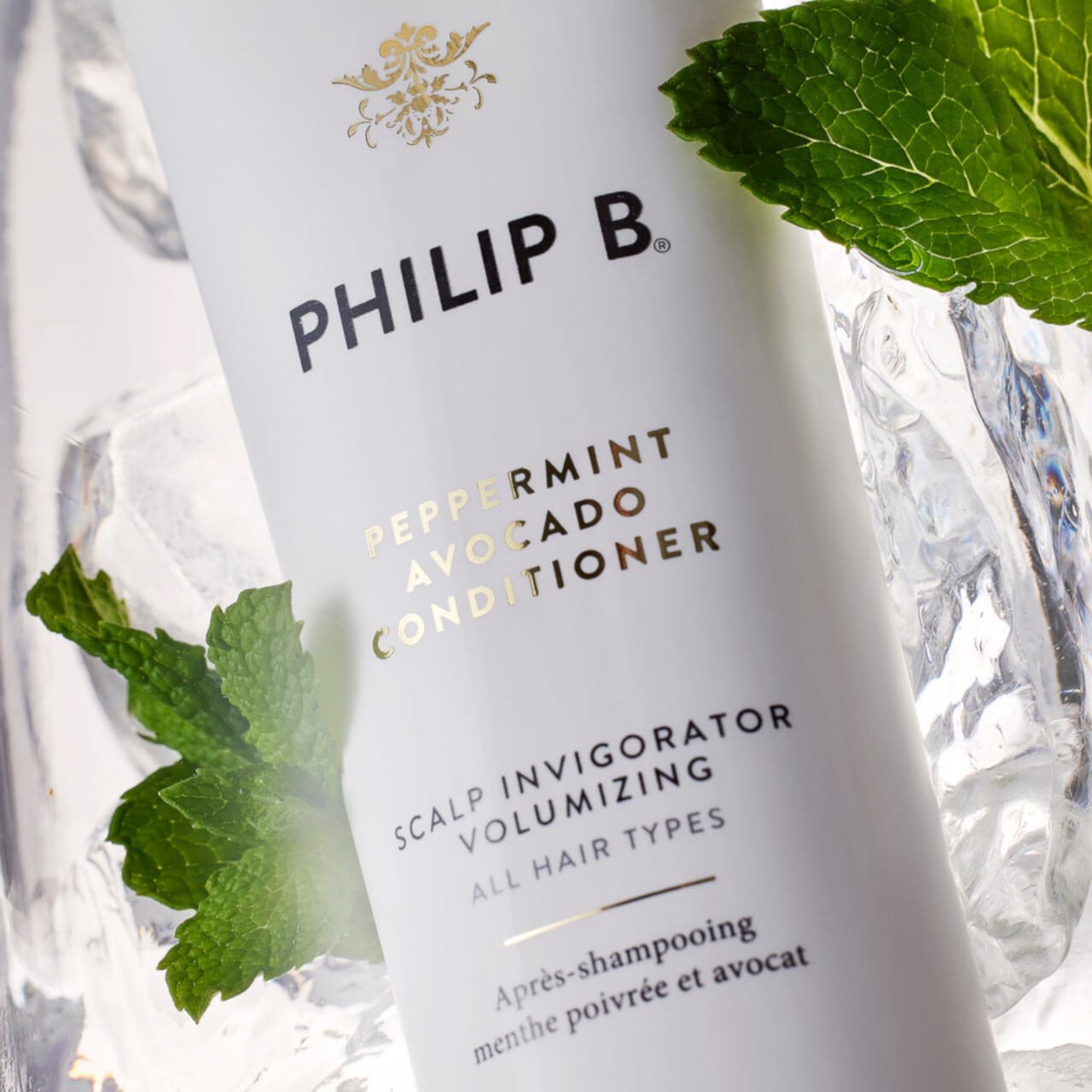 PAコンディショナー (178mL) | Philip B.（フィリップ B