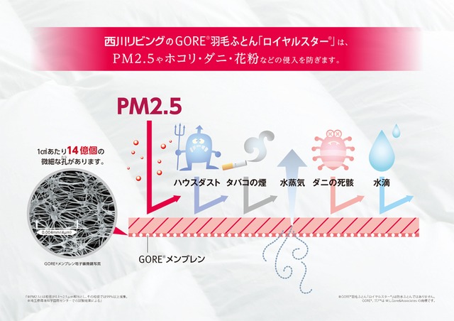 アトピー協会推薦羽毛布団　【GORE (ゴア) ロイヤルスター羽毛ふとん】　西川リビング