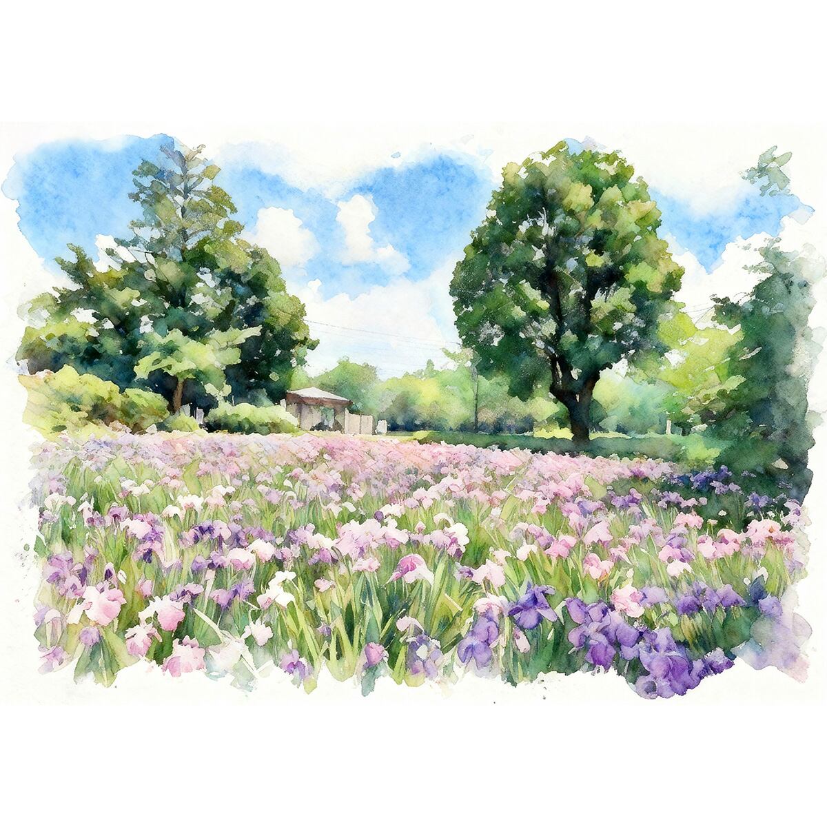 絵画 風景画 日本 長崎県 大村公園の花菖蒲 インテリアアート額付き 水彩画風 WAT1755