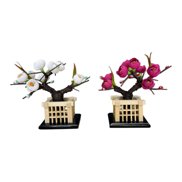 千聖 -Chihiro- 3段