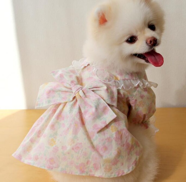 おすすめ☞《予約》№3101221 淡色フラワーシェイプドレス