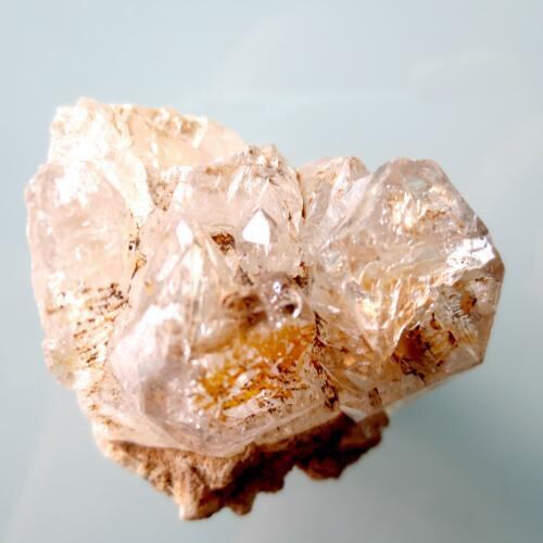 蒼月紫野 | MISTY Happy Mall（ミステイハッピーモール）