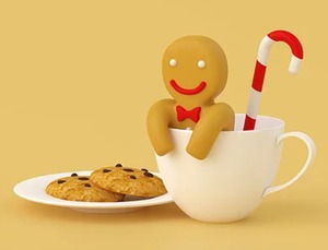 ジンジャーブレッドマンの茶こし～Gingerbread man Tea Infuser