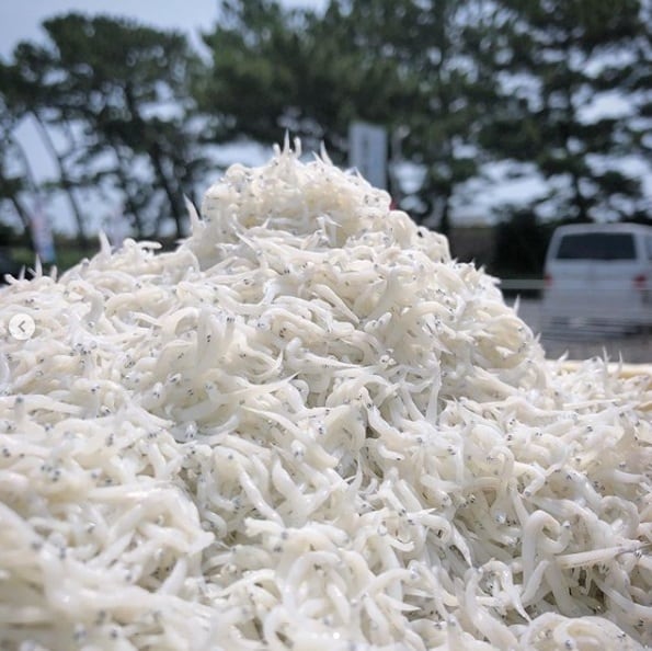 若干しらす＆桜えびセット（大）（化粧箱入） | しらす屋 丸三水産