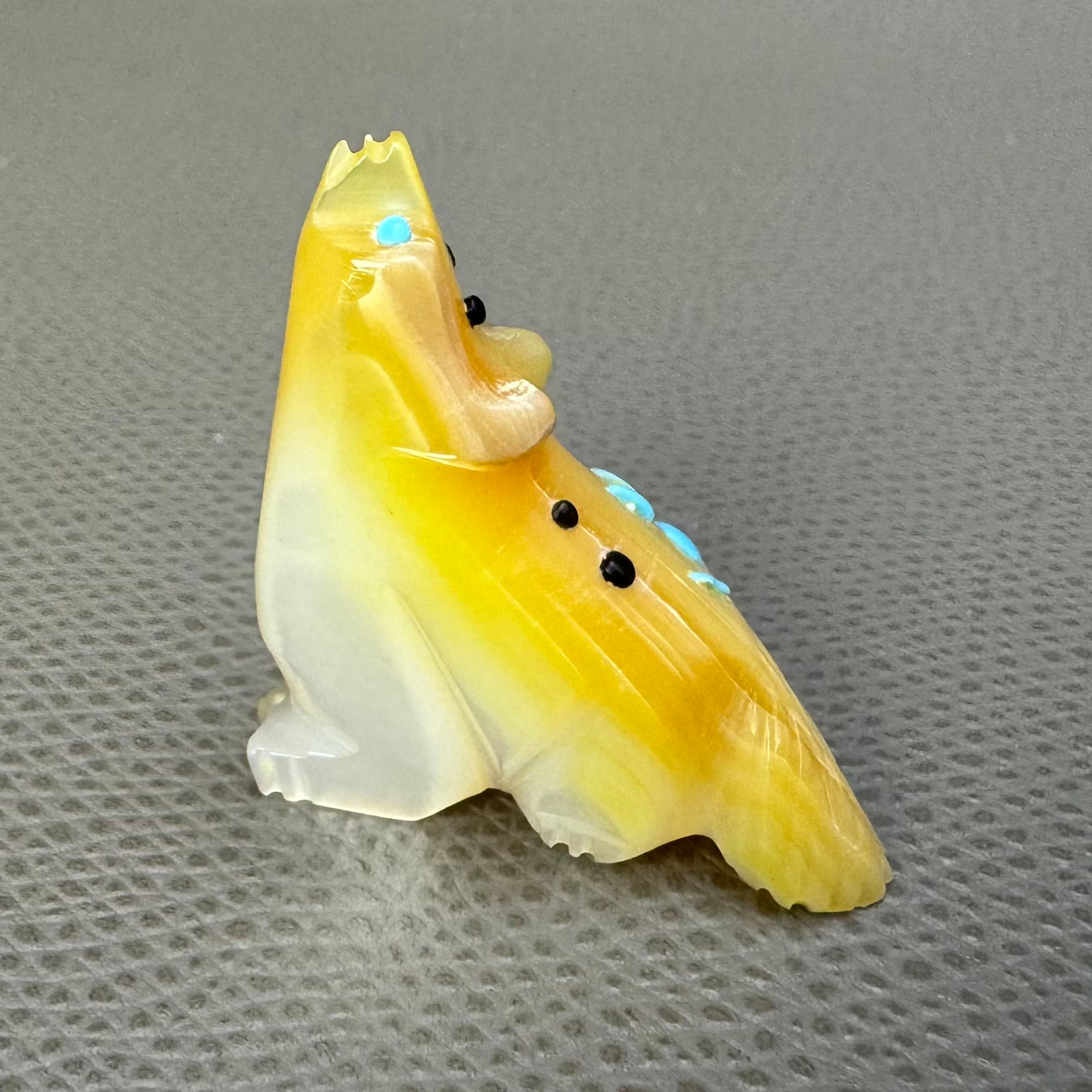 ZUNI族 Delvin Leekyaメイド フェティッシュ カエル ホピ ナバホ ズニ