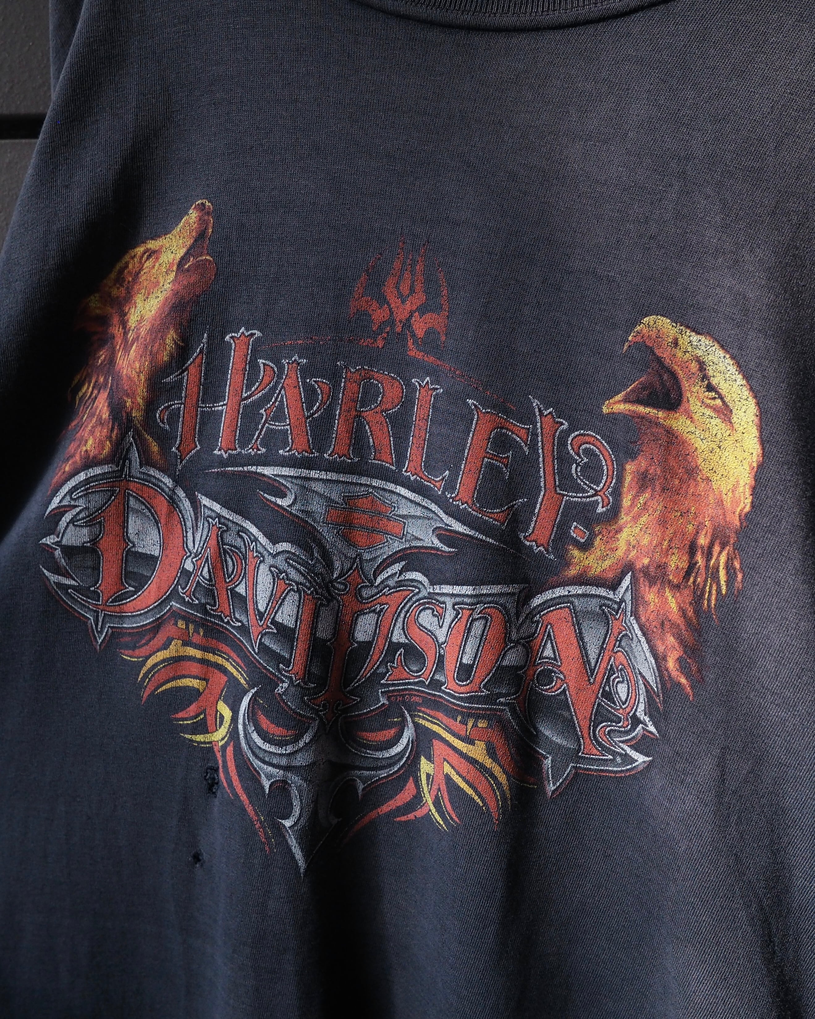 " Harley-Davidson " Beautiful Fade × Destroy vintage loose Double sided Print Tee