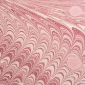 「tutumashiyaka」〜洗えるきもの（シルジェリー）〜