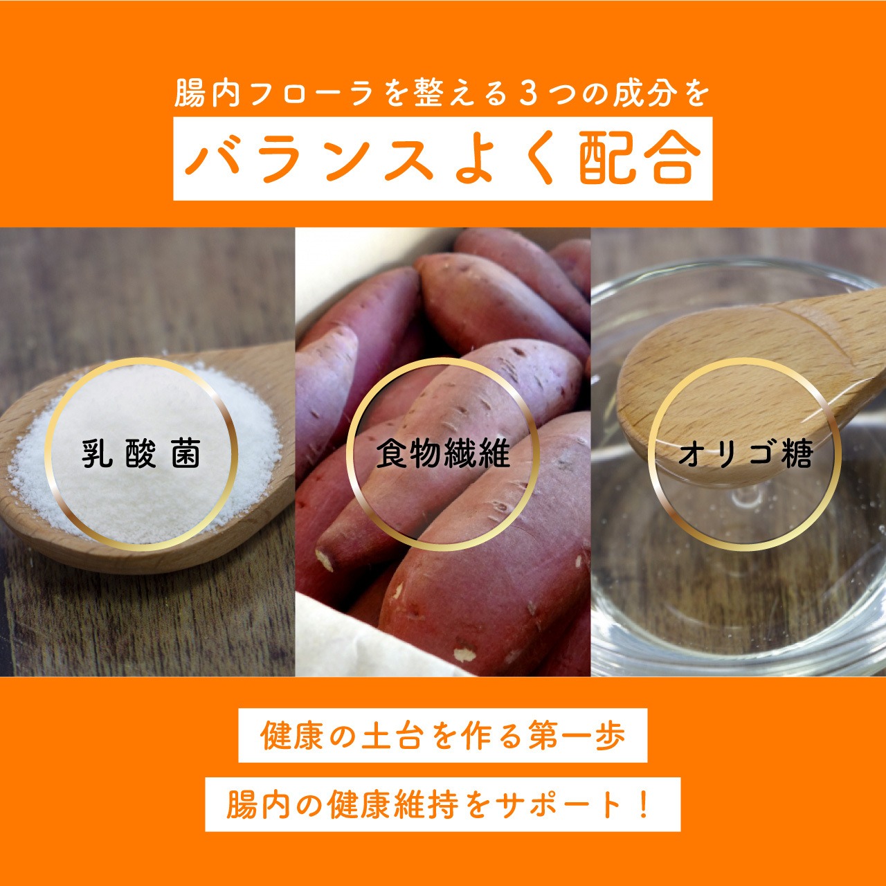 【送料無料】いぬみらいオールミックス1.6kg【定期便】
