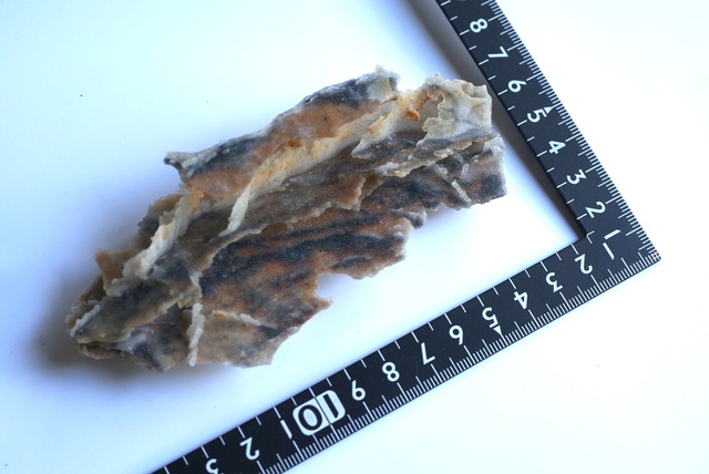 カルセドニー / クローライト ② Chalcedony / Chlorite