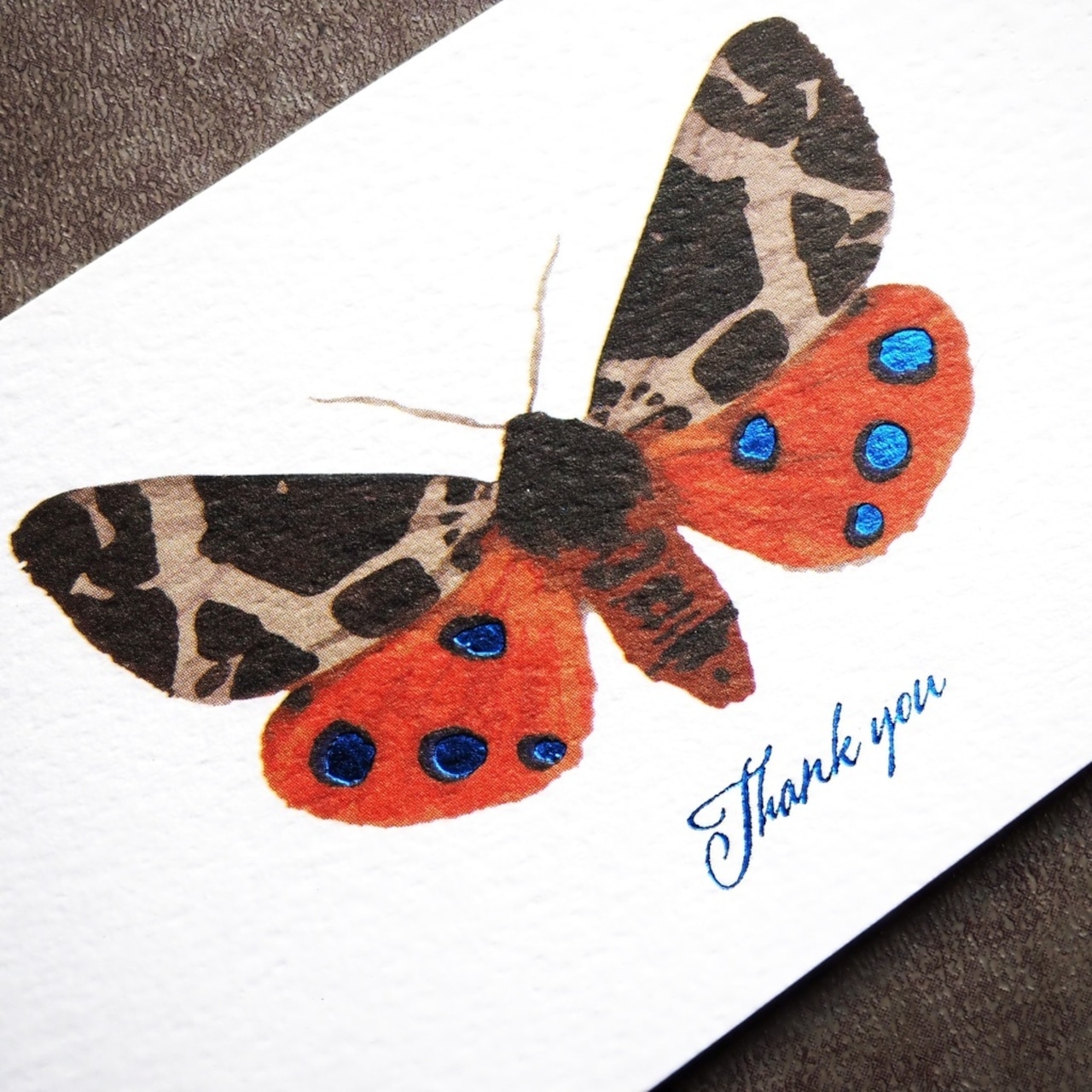 Thank you カード 5枚入り(ヒトリガ)