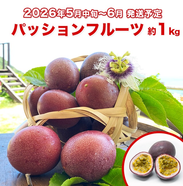5~6月期間限定！南城市産パッションフルーツ約1kg