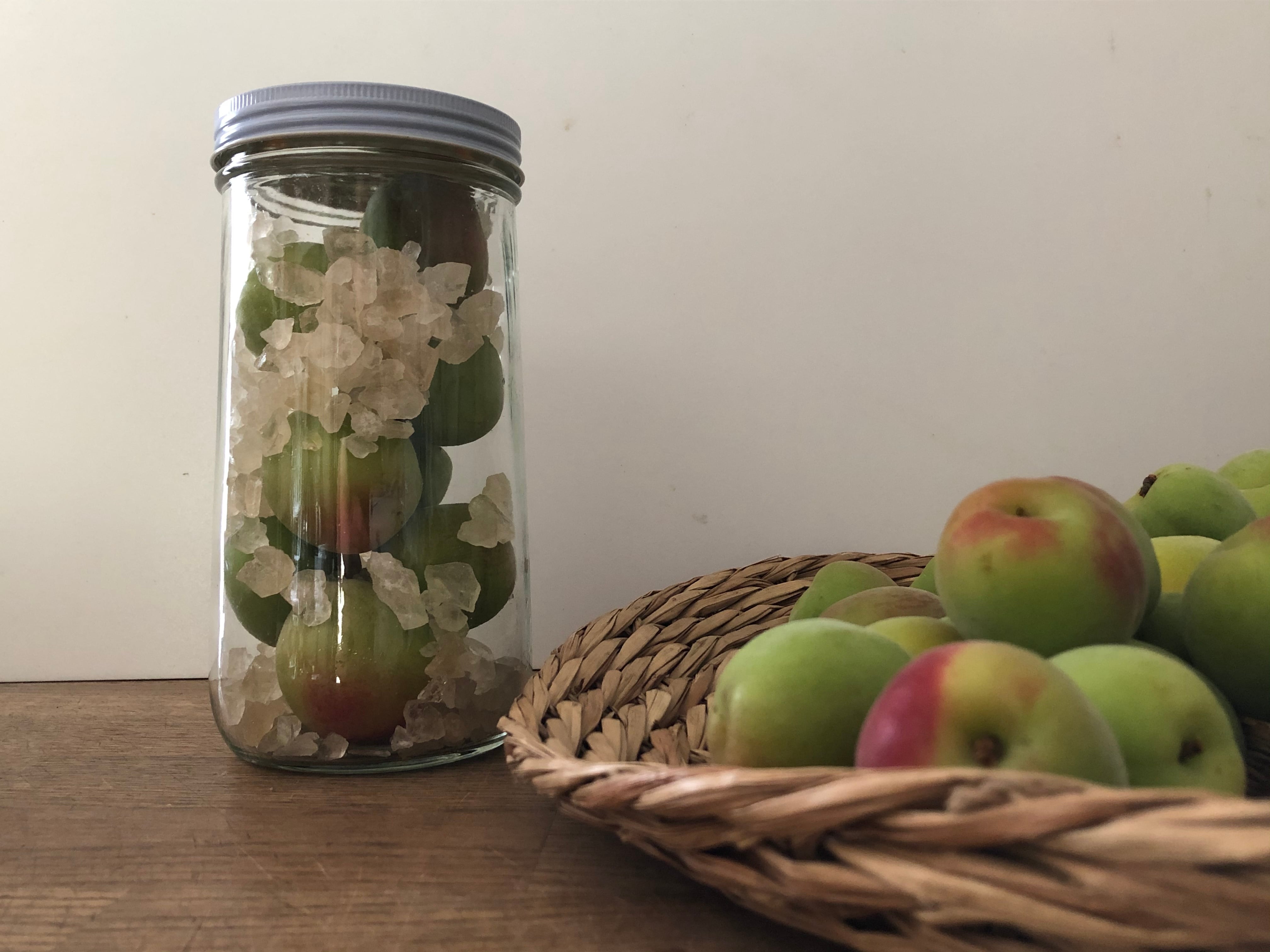 期間限定】南高梅2kgと広口瓶1 | 根蕈果konshinka