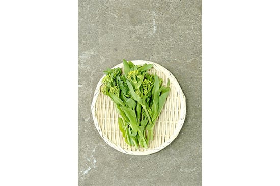 【山菜菜花】天然アブラナ・50g