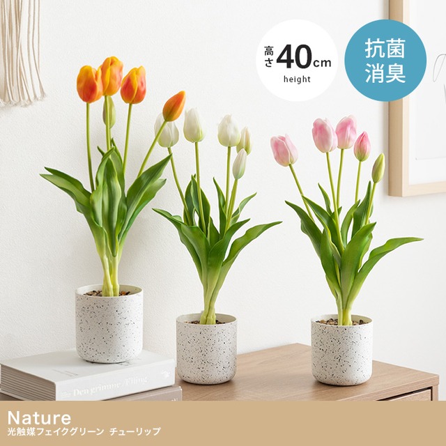 光触媒人工観葉植物 パキラ 曲がり 幅72cm×奥行50cm×高さ160cm