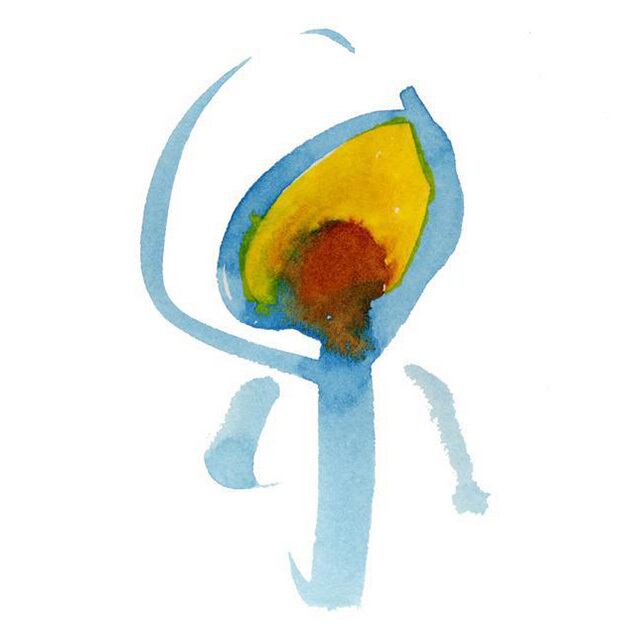 LP】Nujabes - Modal Soul | Jazzy Sport Shimokitazawa