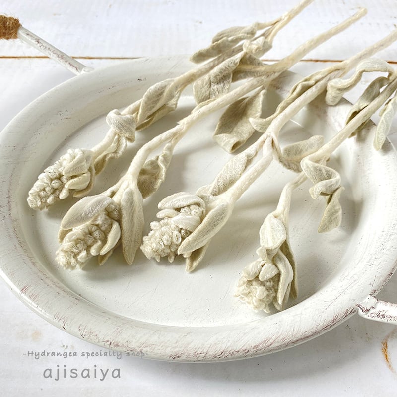 ラムズイヤー 4本 ドライフラワー 自然素材こわけ専門店 あじさいや