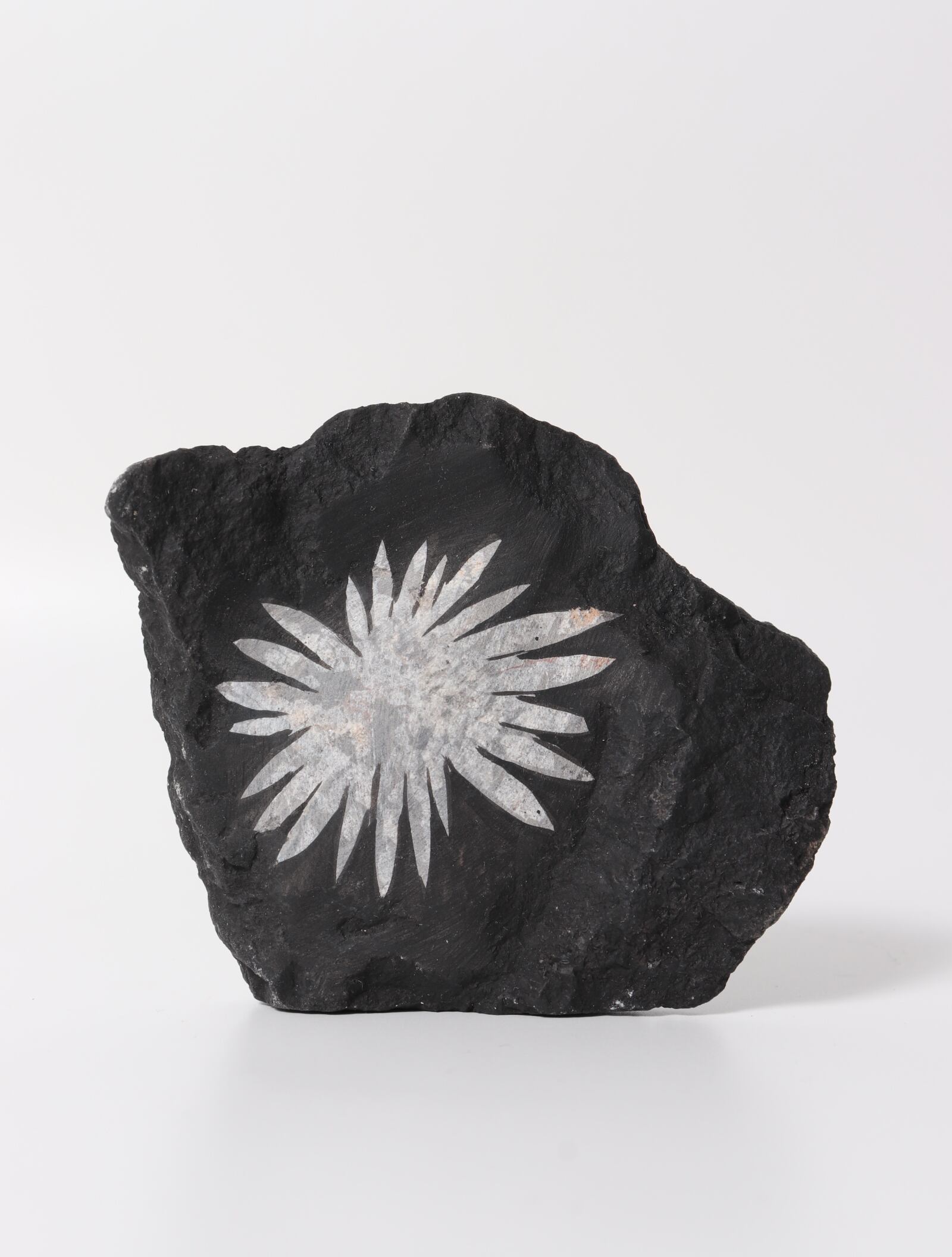 CHRYSANTHEMUM STONE FORMED