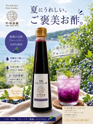 完熟ブルーベリー酢2本セット