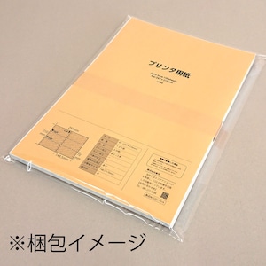 プリンタ用紙 Ａ４ カット紙 6分割 偽造防止印刷 水色 チケットなどの出力 100枚