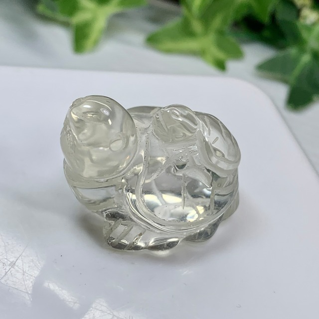 10.透明度高☆親子亀水晶☆