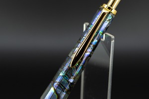 【海洋の宝石】 ニュージーランド産 アバロン gold MP