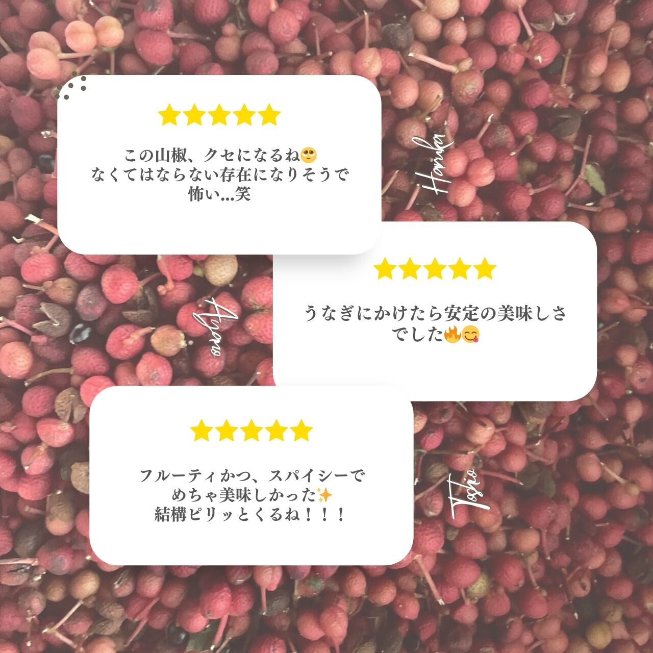 完熟赤山椒 (Red Sansho Pepper from Yamazoe, Nara) | MOUNTAIN HOUSE