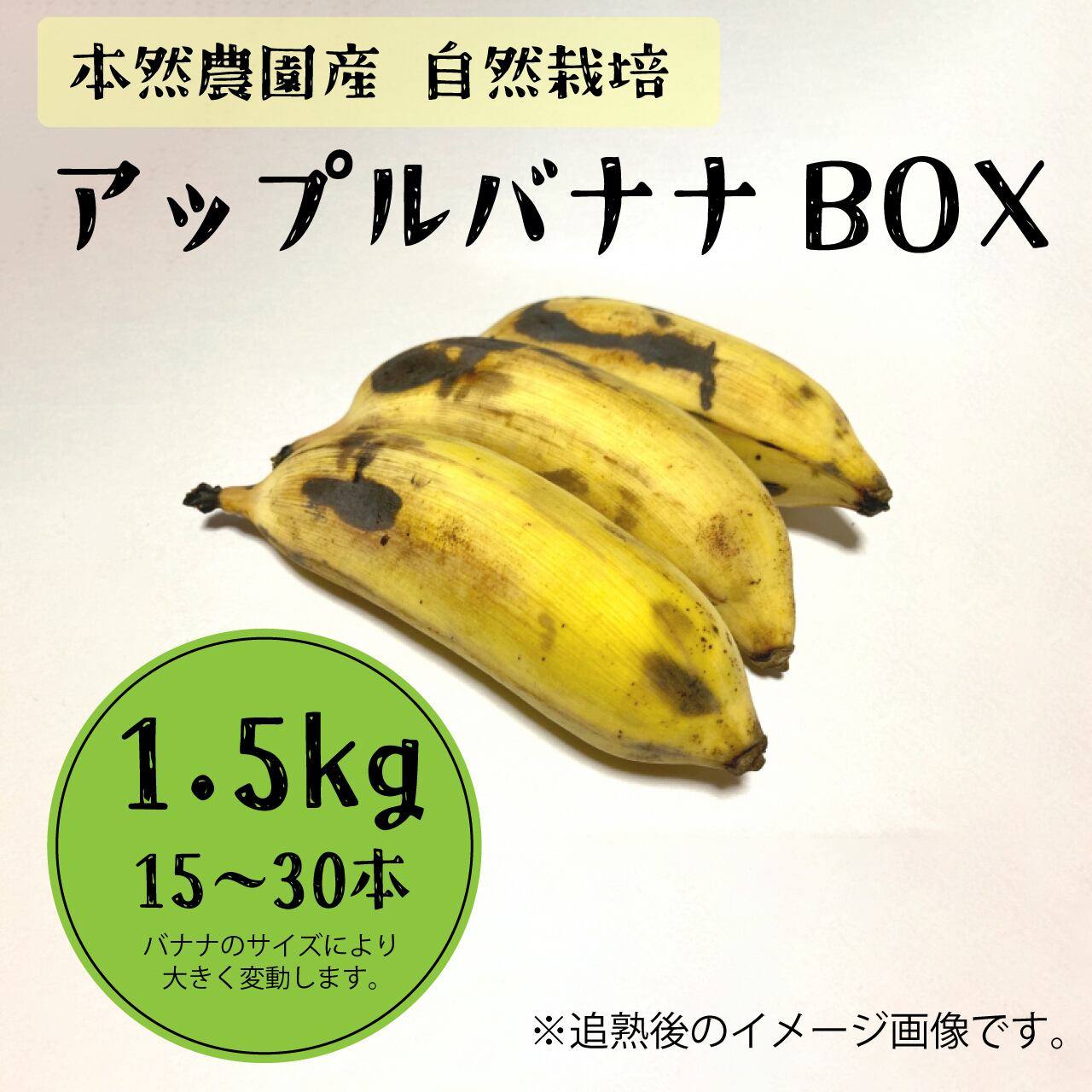 アップルバナナ　1連　　 畑人市場】 アップルバナナ 1kg～1.2kg | 沖縄県糸満市 | ふるさと納税