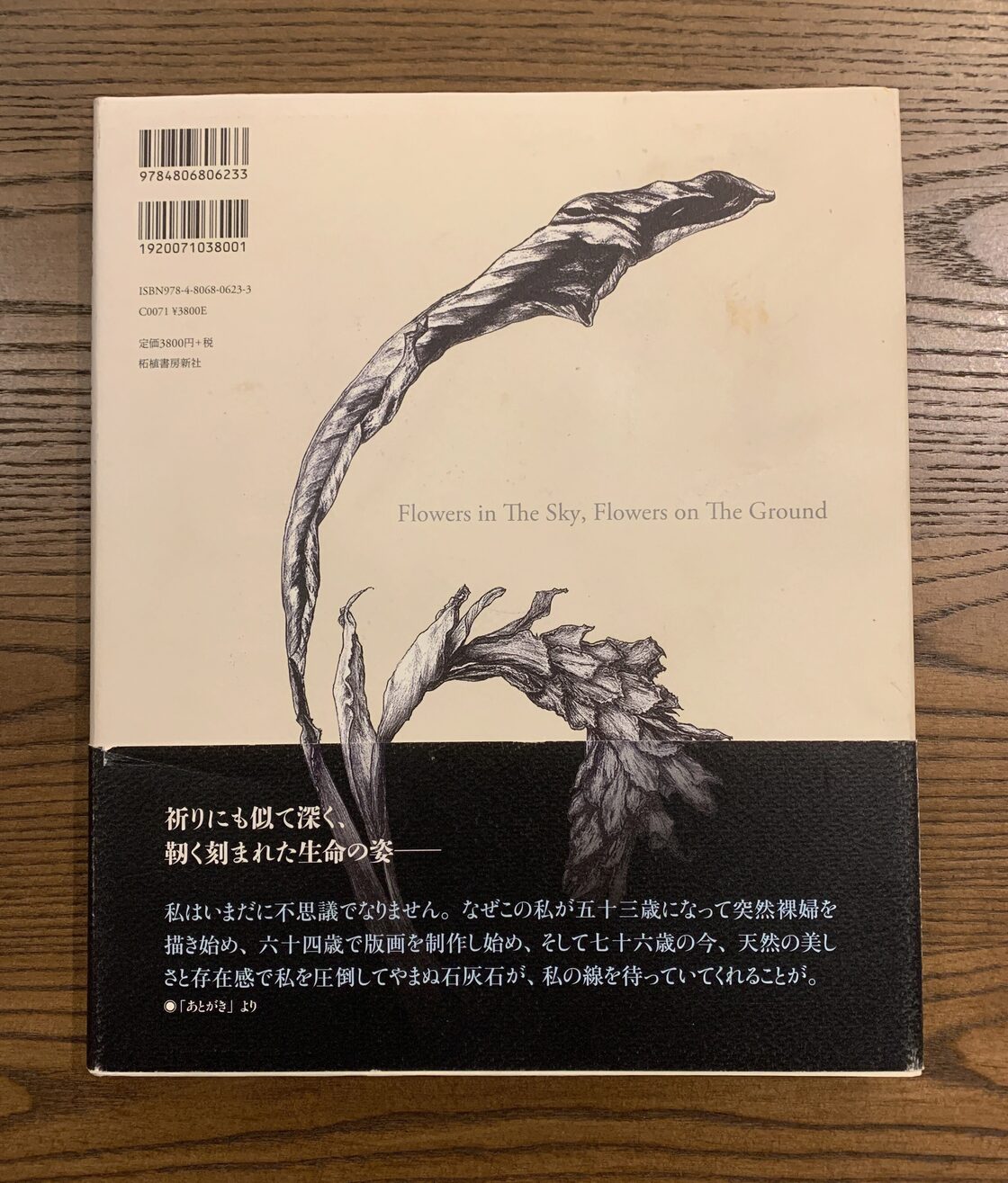 天の花 地の花 五木玲子画集 | Pay ID