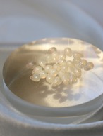 いちご摘みリング