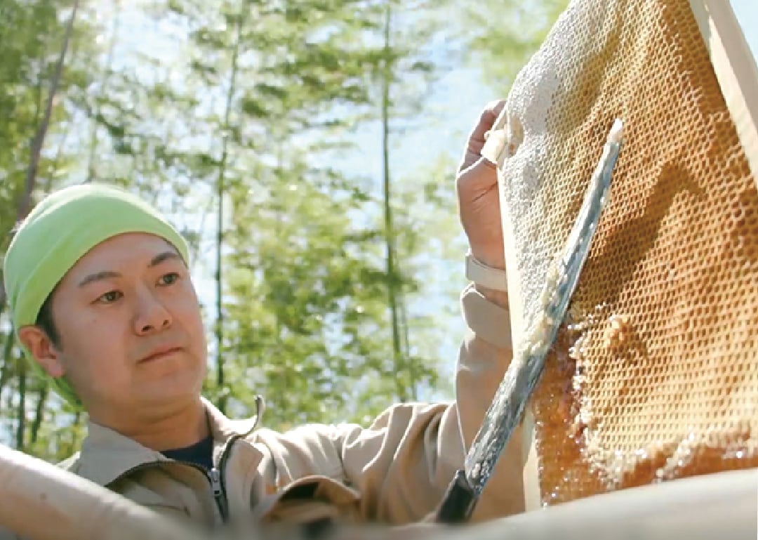 Heka Naturals シュンガイト&ソープストーンハーモナイザーセット Heka Naturals シュンガイト&ソープストーンハーモナイザー