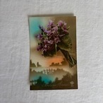 アンティークポストカード　花　彩色カラー　1920-1930年代　使用済み3枚セット 19psa11-3