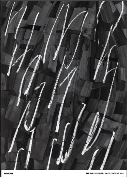 Lee Bae / Signed Poster: Issu du Feu (White Lines) A3, 2023
