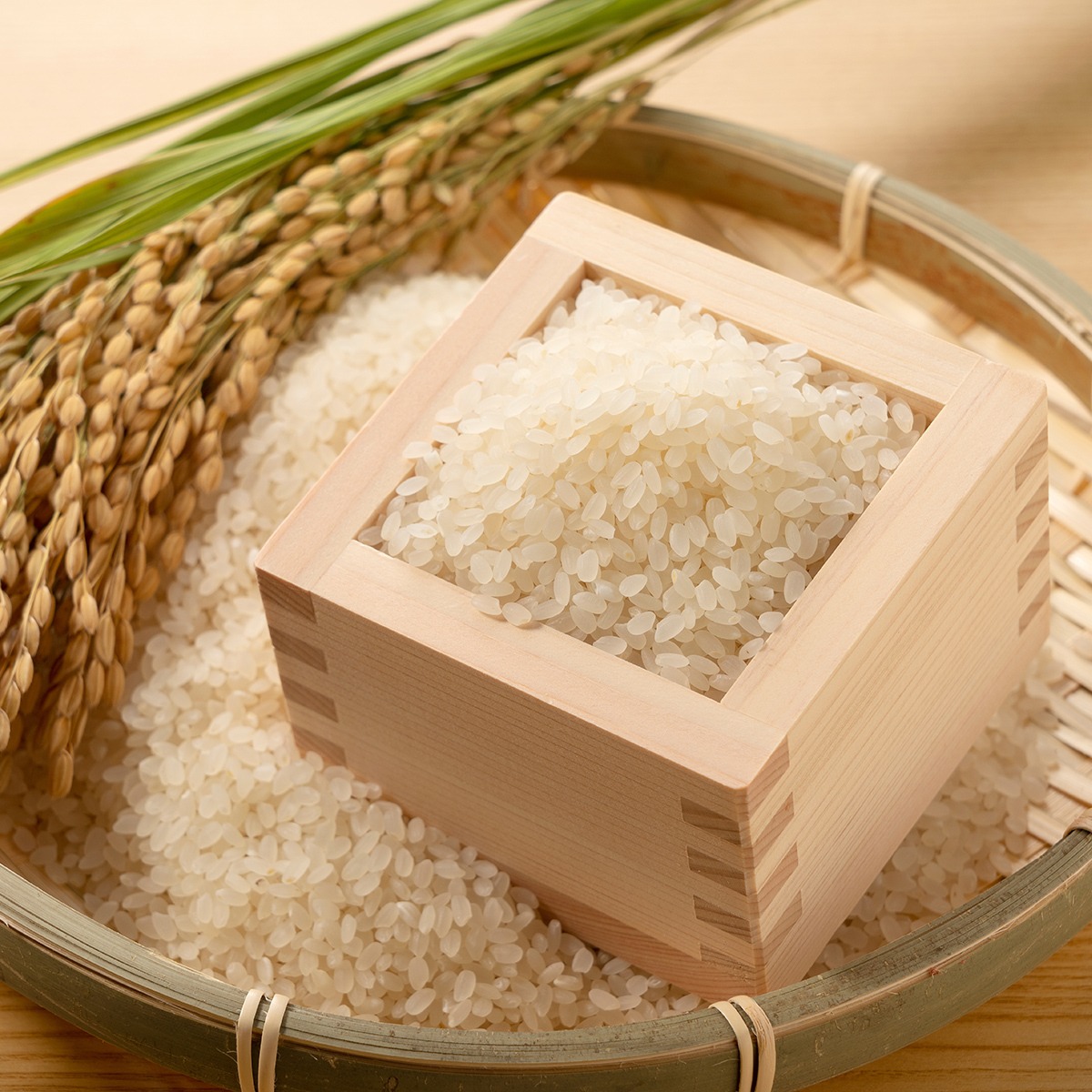 にこまる 10kg 精米 | 株式会社藍川ファーム