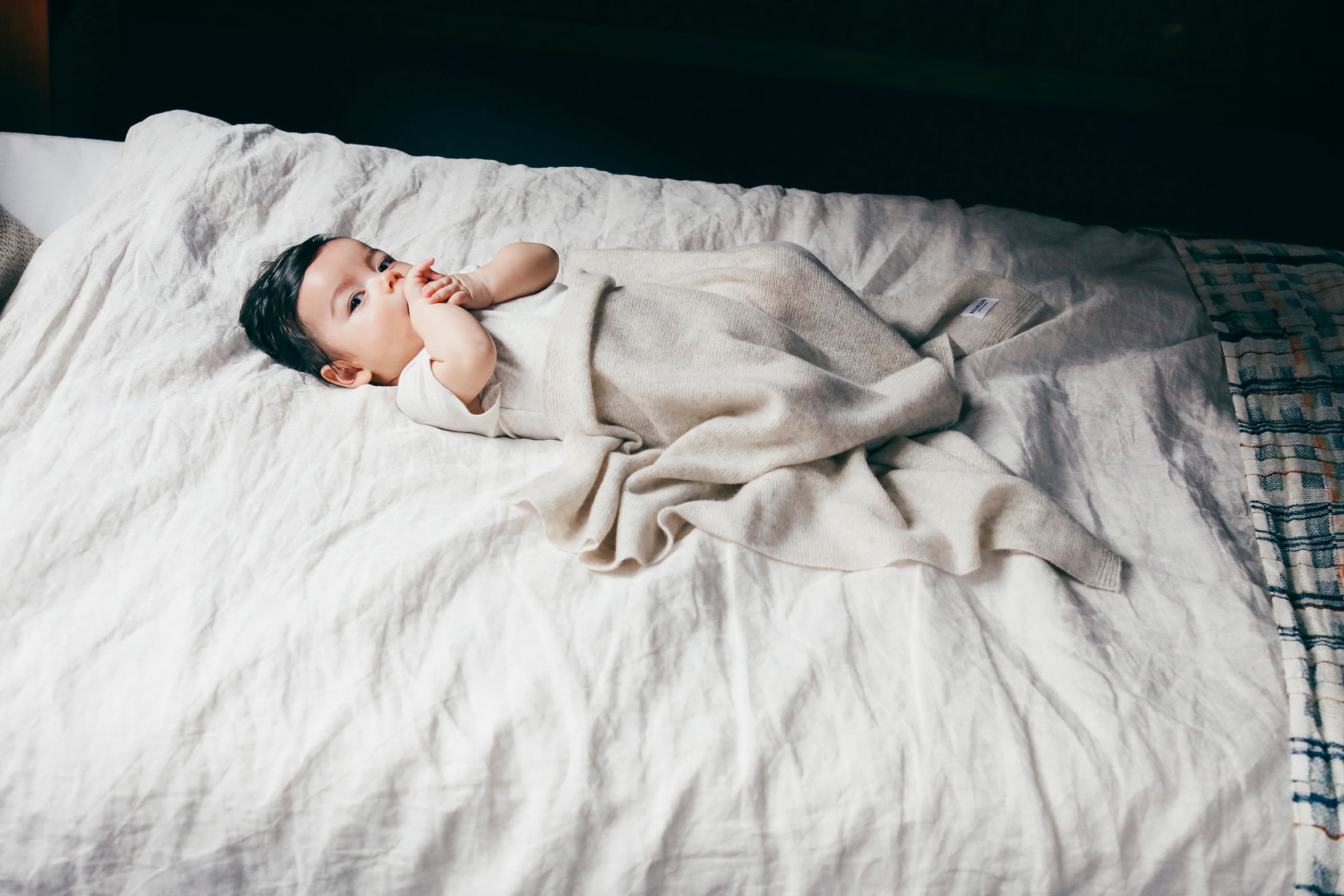 お届けまで15日間）Cashmere multi blanket (ナチュラル) | HOKOS