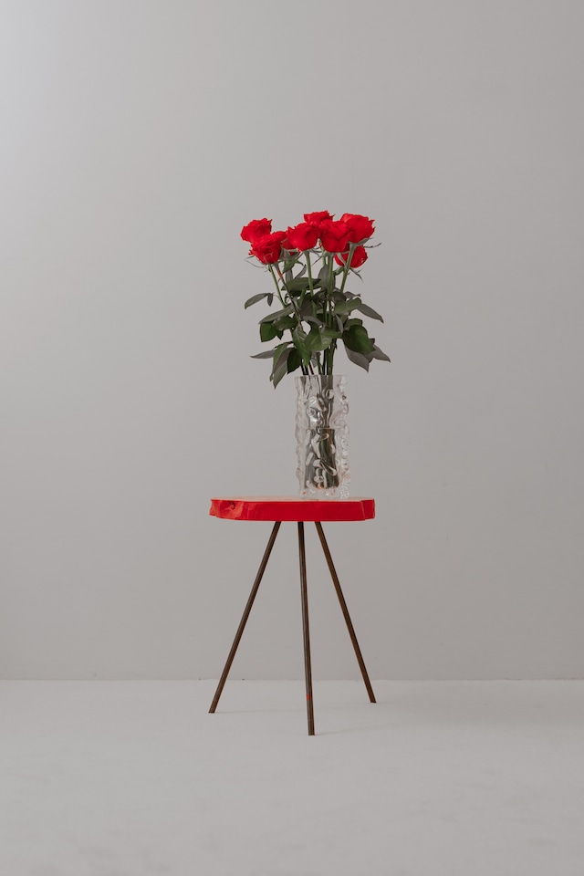 IKUMI KAKIHARA × TORINOKI ”Side table" J