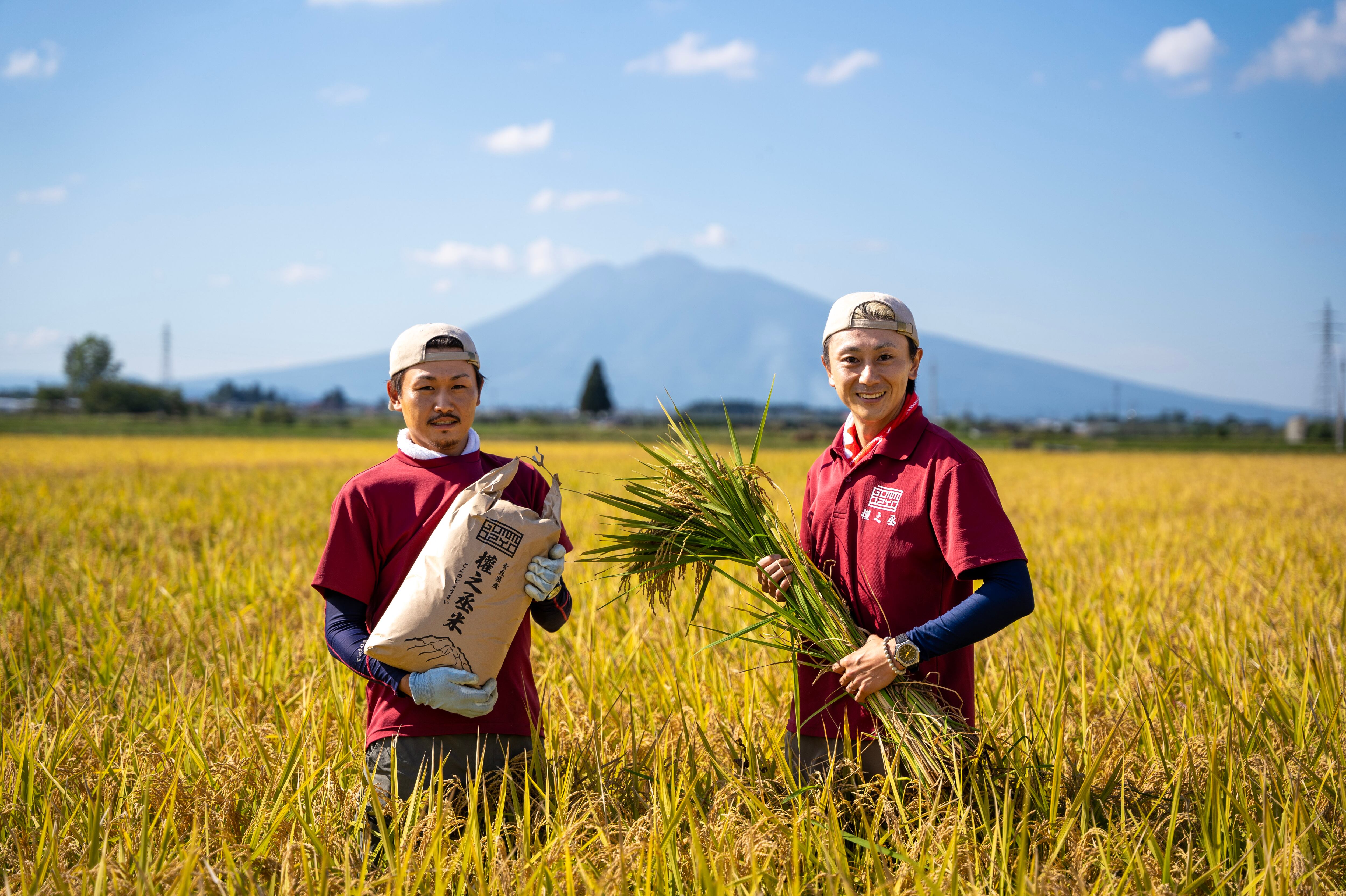 特別權之丞米【減農薬まっしぐら】玄米5kg