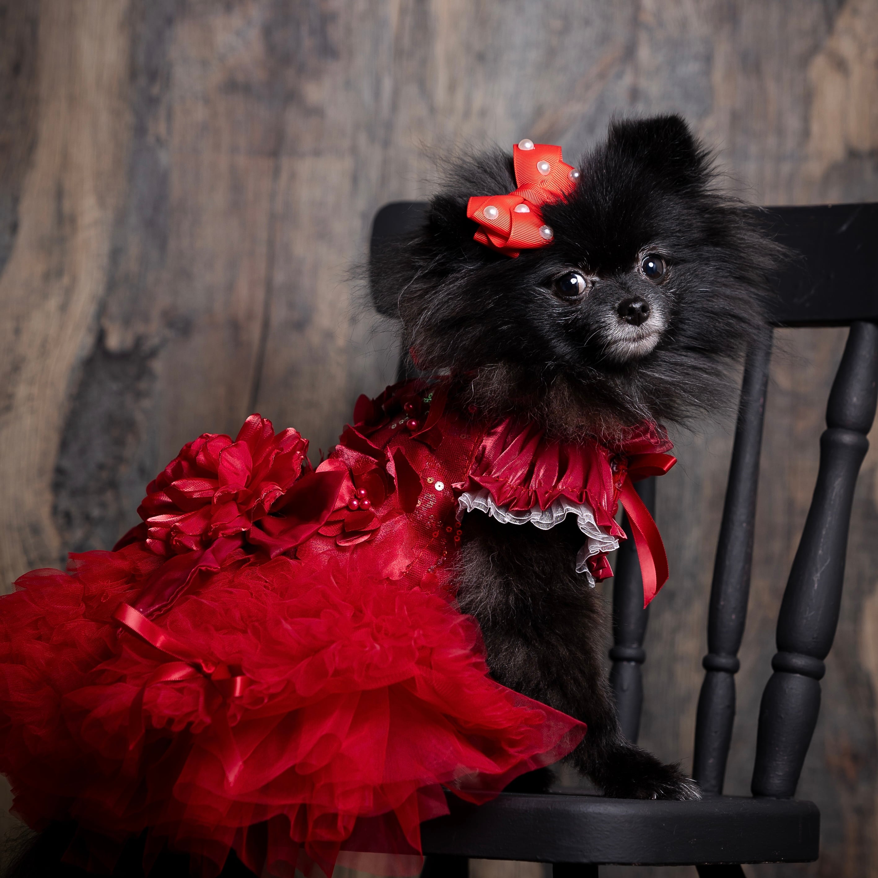 luxe birdie　エマーブルワンピース luxe birdie(エマーブルワンピ) 20%オフ | BLESS OKAYAMA