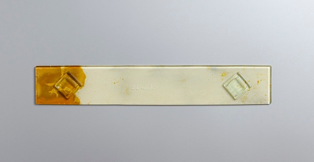 つづるガラスアート　ゆうなの花　HAKU長皿細１