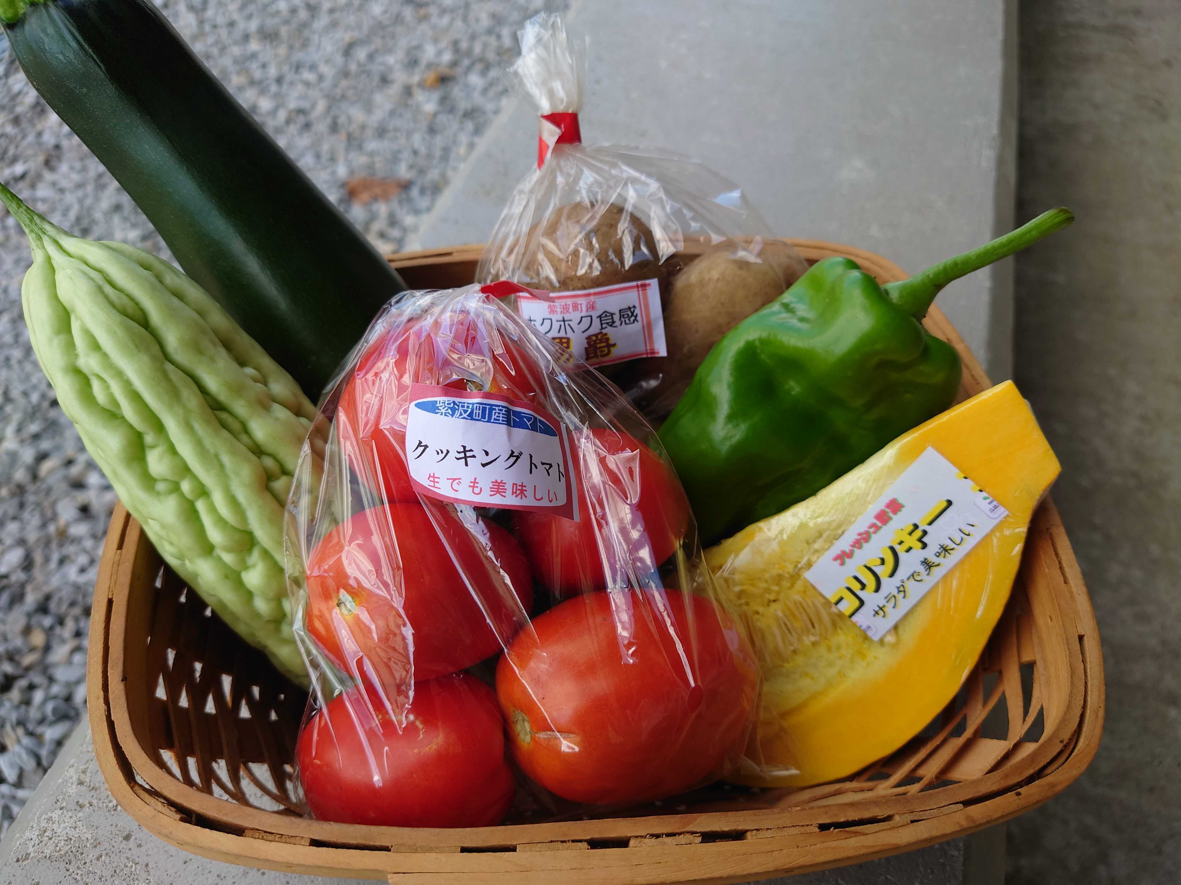 藤稔1房約600g（吉田学） | しわちょく