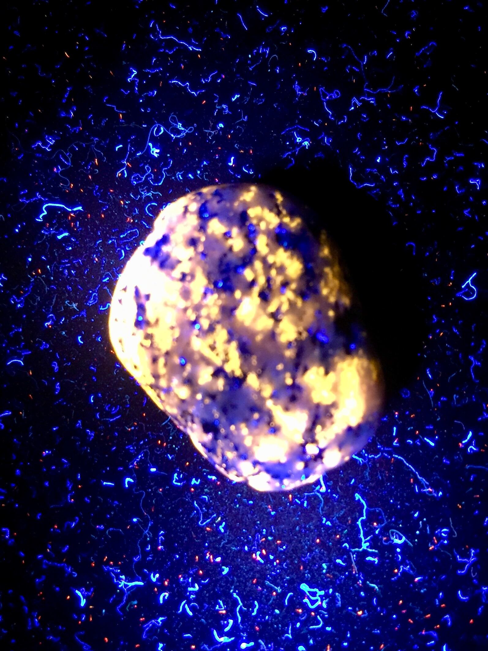 67) ユーパーライト