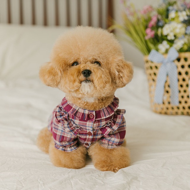 〈 即納アイテム 〉Rolling PEPE ブラウス / カーリングチェックブラウス (パープル) Mサイズ