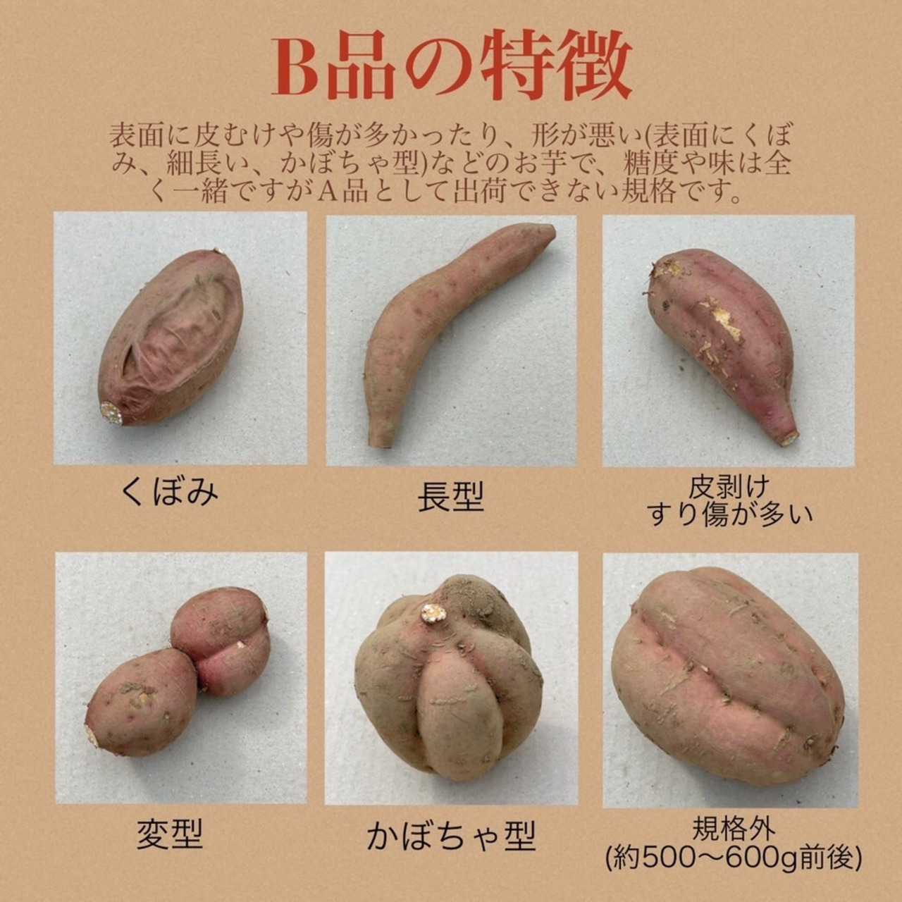 安納芋B品(M〜2L) 3kg(箱別)・画像5