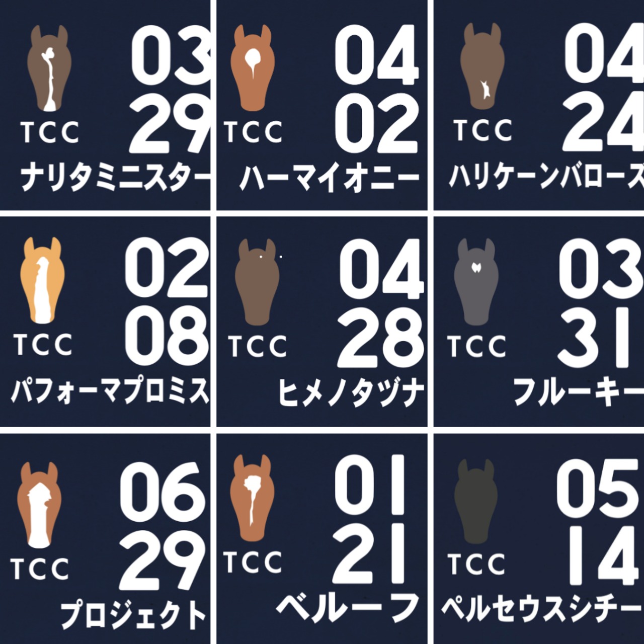 TCC Horse " Daily Mini "【Navy】