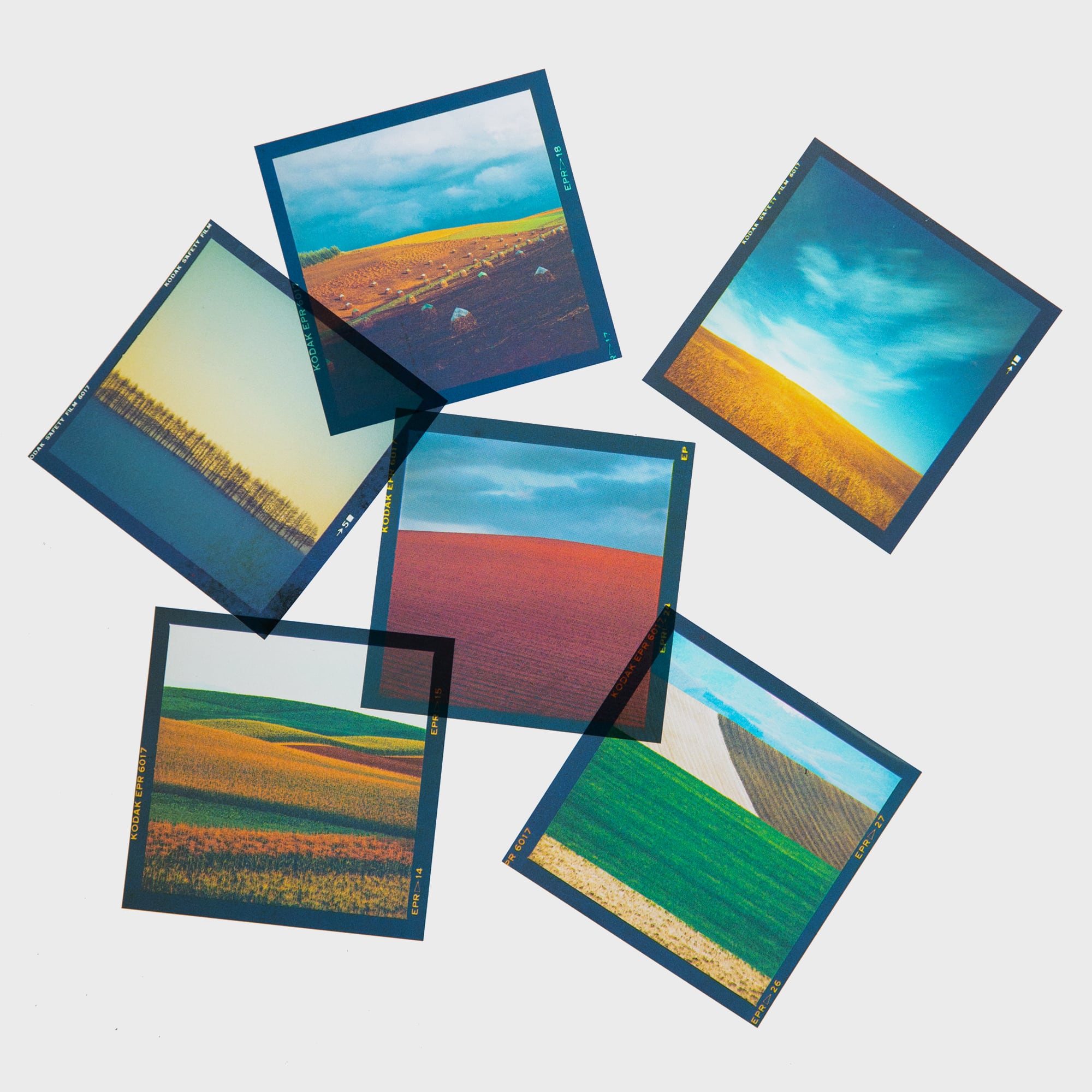 拓真館 TAKUSHINKAN