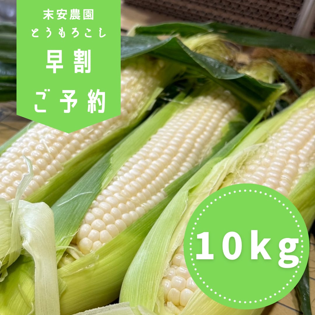 【予約】爆白コーン10kg(約25本〜約30本)