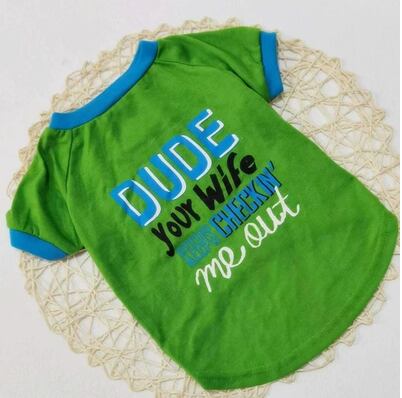 ドッグ 犬 中型犬 小型犬 パグ マルチーズ ミニチュアシュナウザー トイプードル 服カテゴリ ドッグウェア 室内着 Tシャツ ベーシック 薄手 カジュアル かっこいい ラフ ボーイッシュ スポーティー クール 春 夏 秋 お出かけ アウトドア キャンプ イベント リゾート 旅行 公園 グレー ブルー 緑 グリーン ツートンカラー 汚れ防止