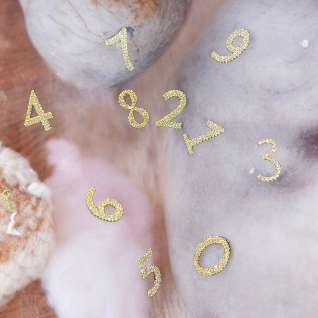 ナンバーピアス（ゴールド / シルバー） | THE HANY 公式オンライン