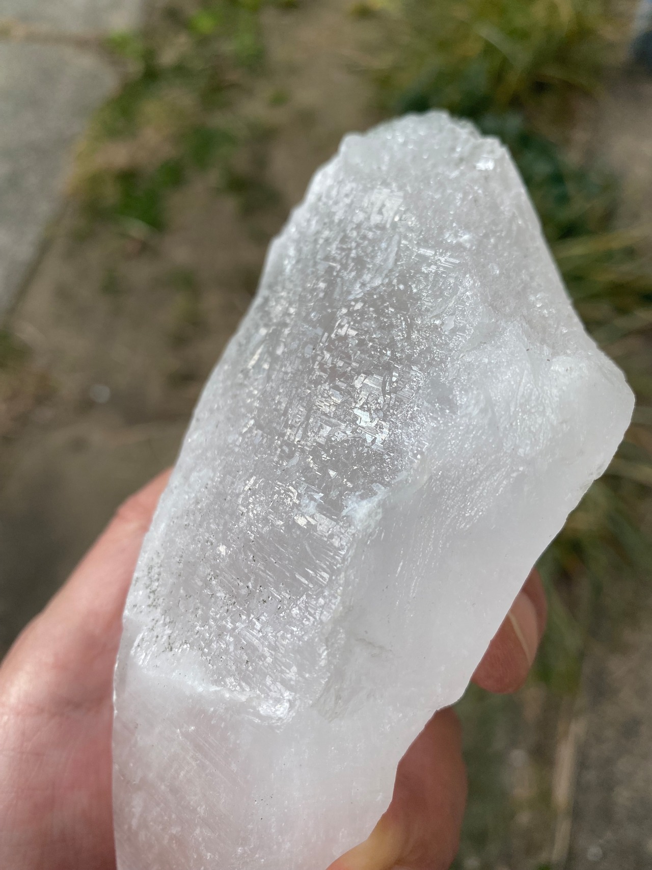 大きなセルフヒールド